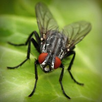 /album/cutroworbest/photolia-a01-jpg/