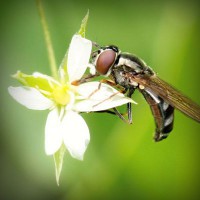 /album/cutroworbest/photolia-a02-jpg/