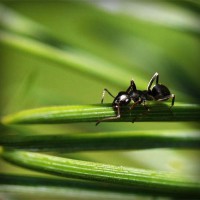 /album/cutroworbest/photolia-a05-jpg/