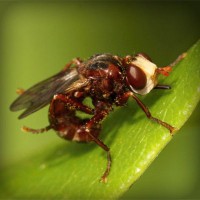 /album/cutroworbest/photolia-a06-jpg/