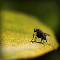 /album/cutroworbest/photolia-a07-jpg/