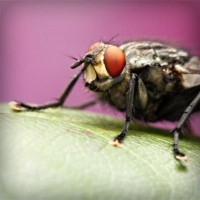 /album/cutroworbest/photolia-a08-jpg/